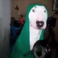 Avatar Gabriel Camilo Rojas Vera