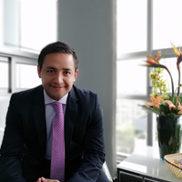Avatar Sergio Felipe Hernández Losada