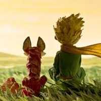 Sergio Danilo Palacios Castillo