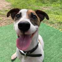 José Eduardo Poma Cáceres