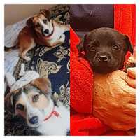 Tatiana Katherine Ordoñez Campoverde