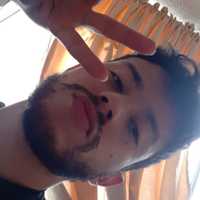tefaelbro