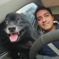 Avatar Andres Vazquez Soto