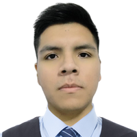 Victor Hugo Rossel Medina