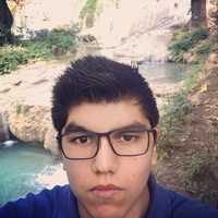 wilvs