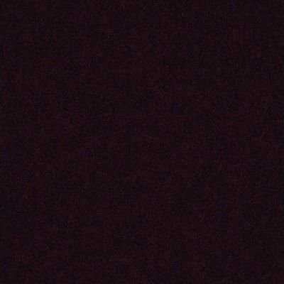 Moisés Daniel Bueno Macias