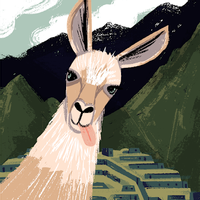 Platzi profile picture for @zuko