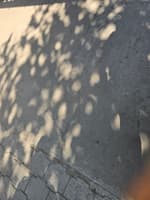 Avatar Eduardo Alcides Martínez Argueta