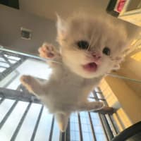 Katrhyn Camille Rodriguez Galarza