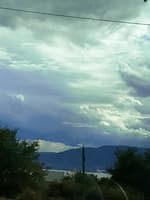 Avatar Guadalupe Estefania