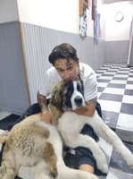 Christian Mauricio Pinilla Peña