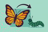 Camilo Steven Rios Gutierrez