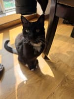 Avatar Daniel Eduardo Reyes Mahecha