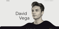 David Andres Vega Monsalve