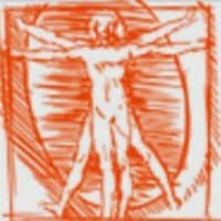 Avatar David A. Vazquez Gonzalez