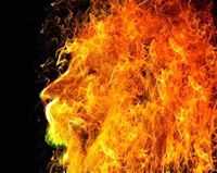 Edgar napoles soriano