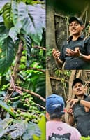 Avatar Emmanuel Uvaldo Reyes Barrientos