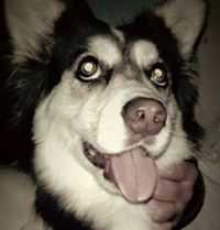 Erick Edgardo Cerna Requejo