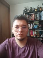 Francisco Javier Cerda Martínez