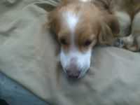 Juan Francisco Mosquera Hurtado