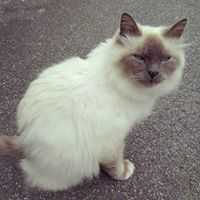 Geimy Germany Fajardo Ferrer