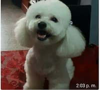 Avatar Hector Romero Rojas