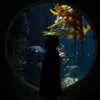 Javier López López