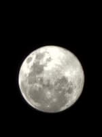 Avatar Omar Jelhsin Quispe Ccahuana