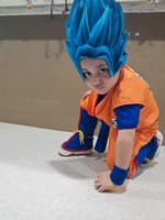 José Luis Camargo Zárate