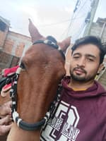 Juan Carlos Gutiérrez Huerfano