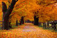 Avatar Kevin Sánchez