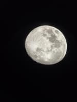 Avatar David Santiago Lanza Chivatá