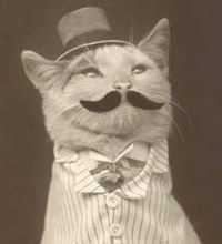 Luis Miguel Ramirez Castillo 