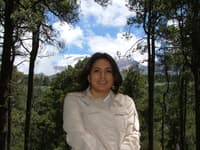 Avatar MONICA RAFAELA ALARCON NAVARRETE