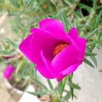 Erney Mauricio Bustos Contreras