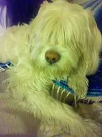 Cesar Morones Sánchez