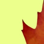 Avatar Pablo Cristóbal Castro