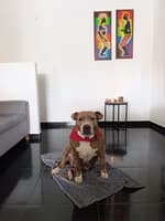 Avatar PAOLA ANDREA JIMENEZ PEREZ