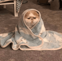 Avatar Rafael Ernesto Rivas Molina