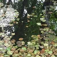 Ruben Romero Diaz Romero Díaz