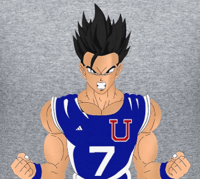 Ignacio Antonio Salas Vega