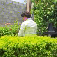 Erick edenilson siguenza juarez