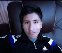 SALVADOR JOSUE ALVAREZ QUENTA