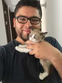 Julián Andrés Osorio Mora A. Osorio M.