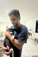 Avatar Leonardo Saez