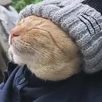 Sergio Sebastian Romero Aguirre