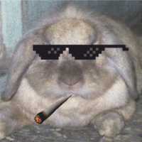 the_owex