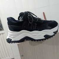 Vicente Carlos malo Vergara