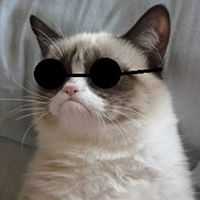 William Sulca Talavera Sulca Talavera