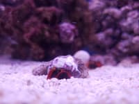 Avatar Alejandro Santana